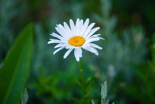 Bougainville Bay Hotel