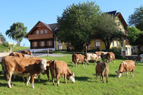 Bauernhof Wiesenbauer