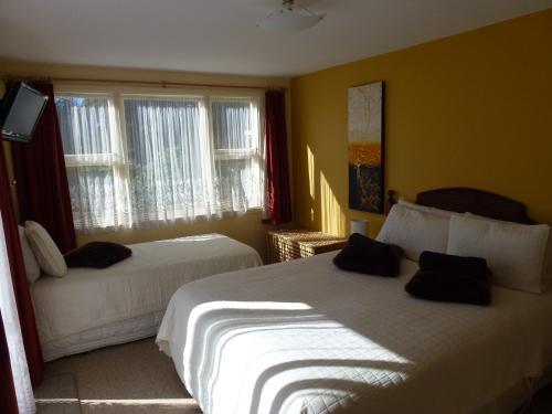 The Lazy Cow Backpackers