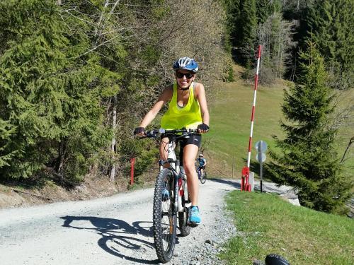 Haus Dachstein Schnitzer