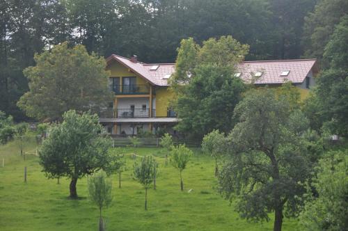 Mostheuriger Steyrdurchbruchalm