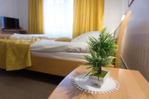 Restaurant And Rooms Kotlar