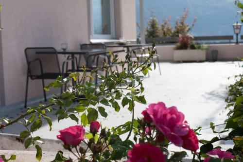 Bed & Breakfast Fernsicht