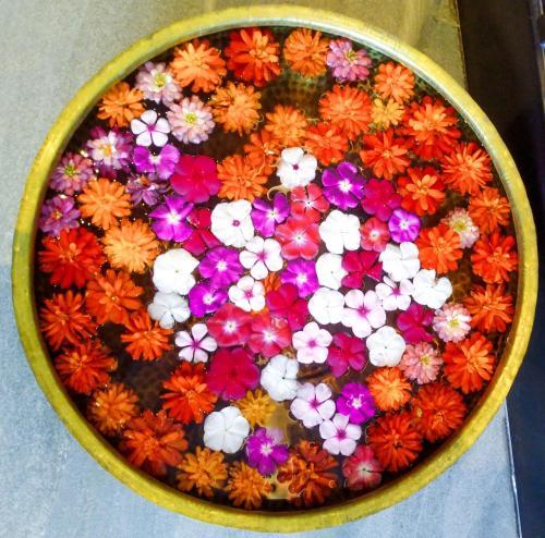 Welcomhotel By Itc Hotels, Katra