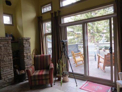 Buffaloberry Bed & Breakfast