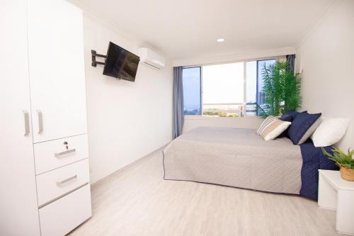 Sandia Studio Livin Colombia