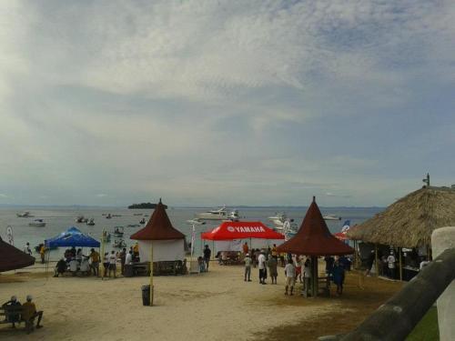 Hibiscus House Bed And Breakfast