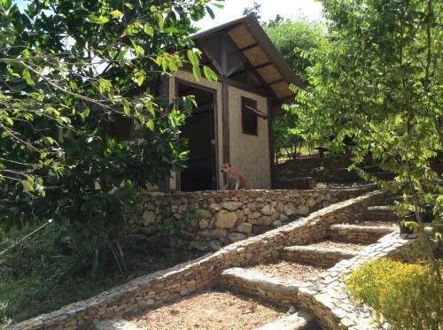 Busuanga Backpackers