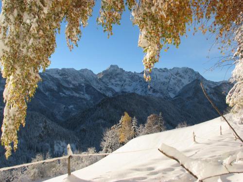 Holiday Chalet Alpine Dreams