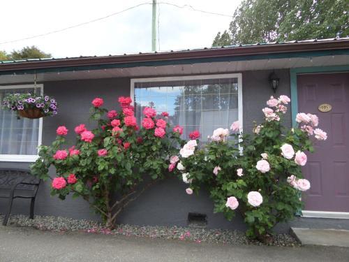 Riverside Motel Port Alberni