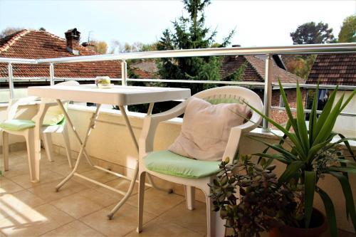 Central Modern Apt Struga