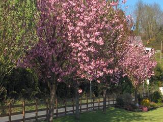 Cherrybrook Country Home
