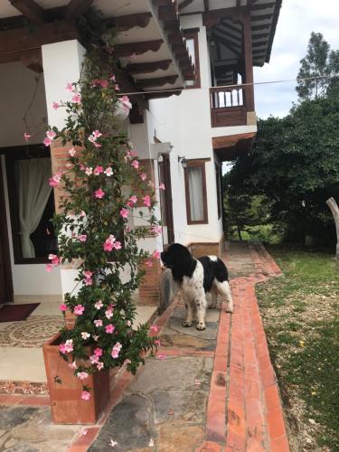 Casa De Campo Las Margaritas Alojamiento