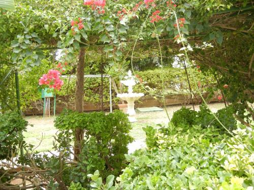 Tsialis Hotel Apartments