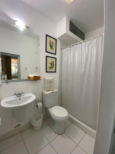 Las Moras Multiespacio