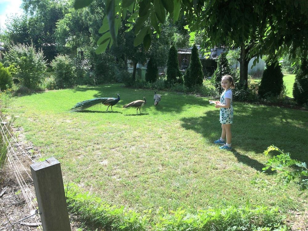 Windswept Country Retreat