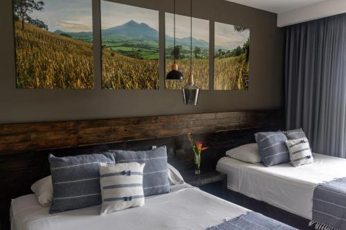 Palo Verde Sustainable Hotel