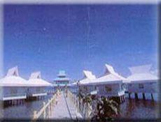 Dos Palmas Arreceffi