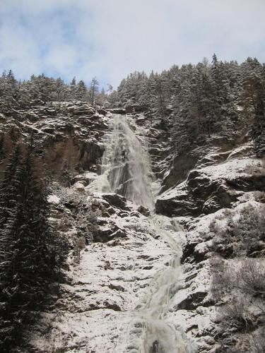 Lettenbichler Christina