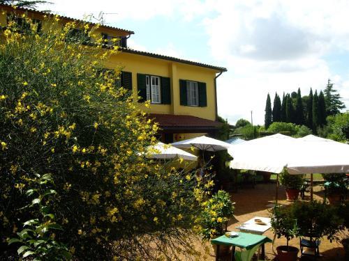 Tenuta Poggio Alla Farnia