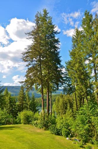 Dutch Lake Motel And Rv Campground