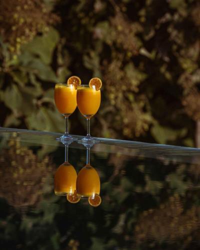 Yaan Wellness Retreat