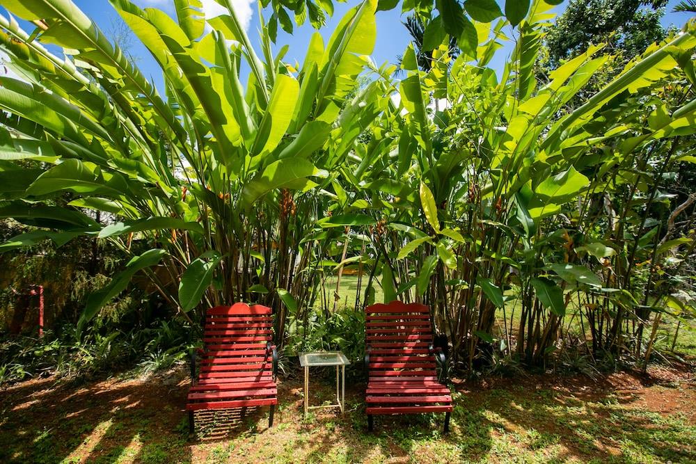 Casa Da Buena Vista B&B