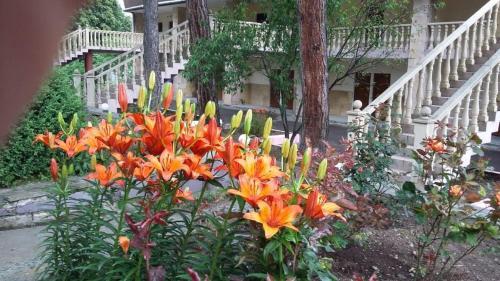 Odzun Boarding House