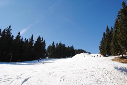 Chata Angel Martinské Hole