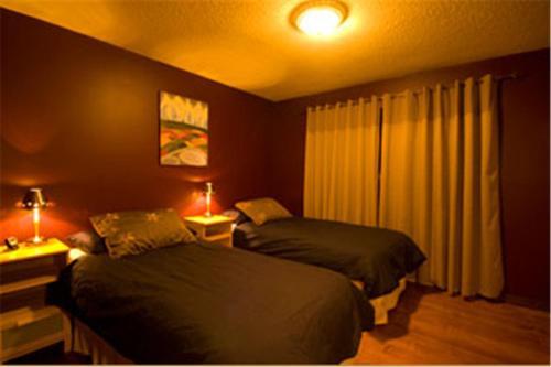 Mount 7 Guesthouse And B&B