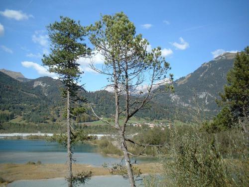 Ferienwohnungen Kathrein