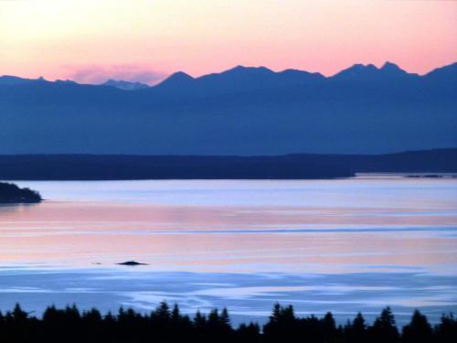 Panorama Bed And Breakfast