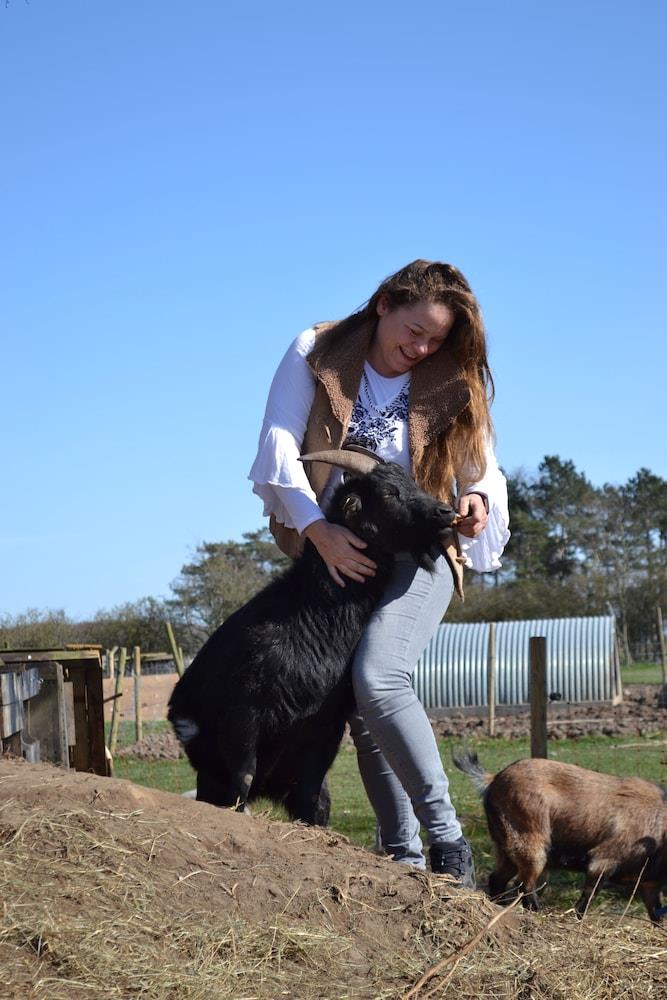 Skortskær Bondegårdsferie