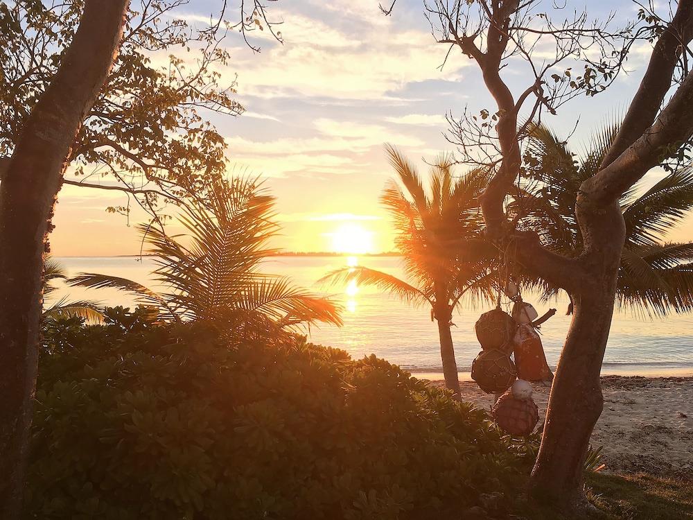 Green Turtle Cay By Techtravel