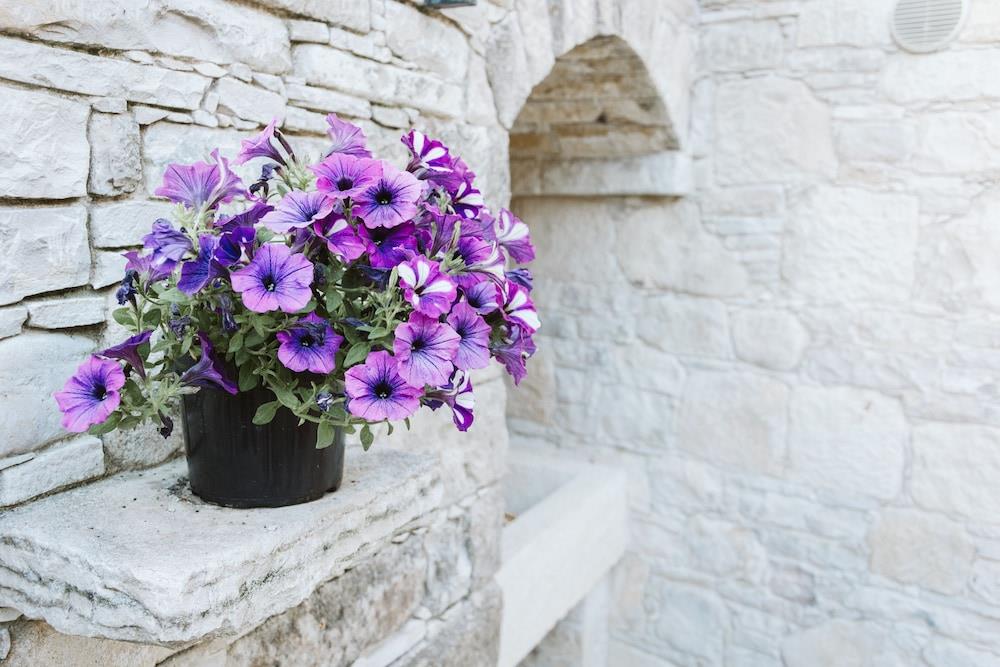 Ariadni Studio Cottage