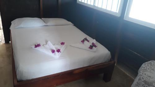 Cabañas Refugio Salomon