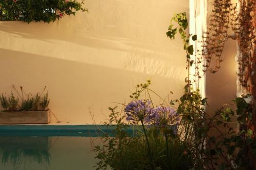 Alma De Proa Bed & Breakfast