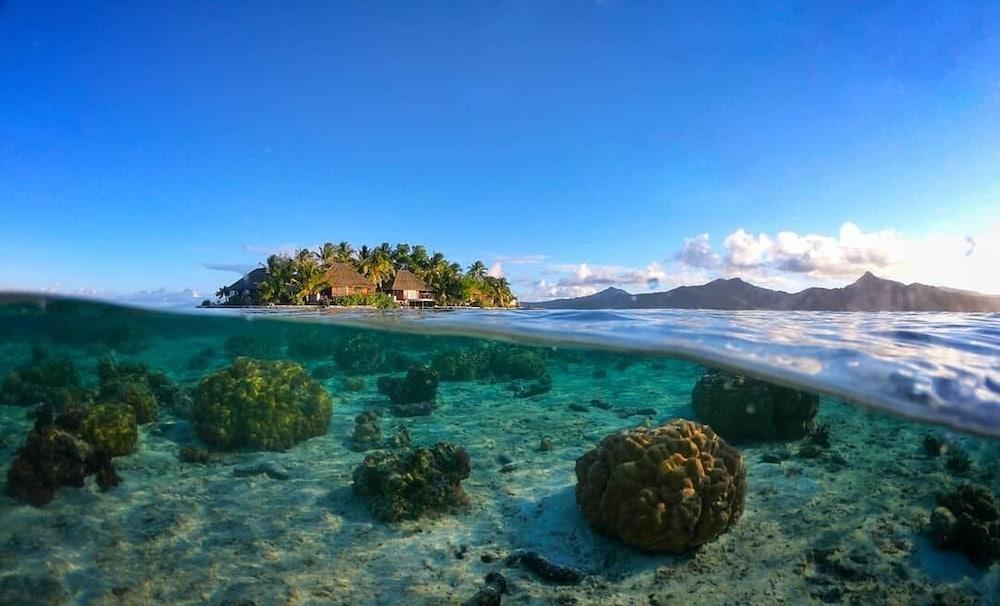 Hotel La Pirogue Api