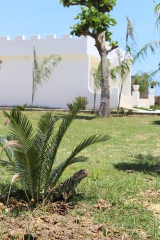 Hotel Castillo Del Mar