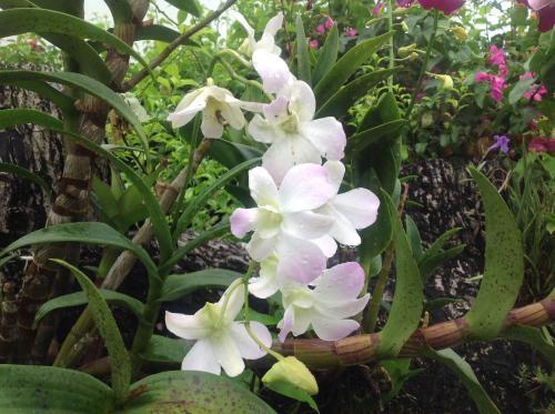 Casa De Los Suenos Bed & Breakfast