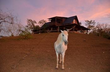 Casa Bellavista Montezuma