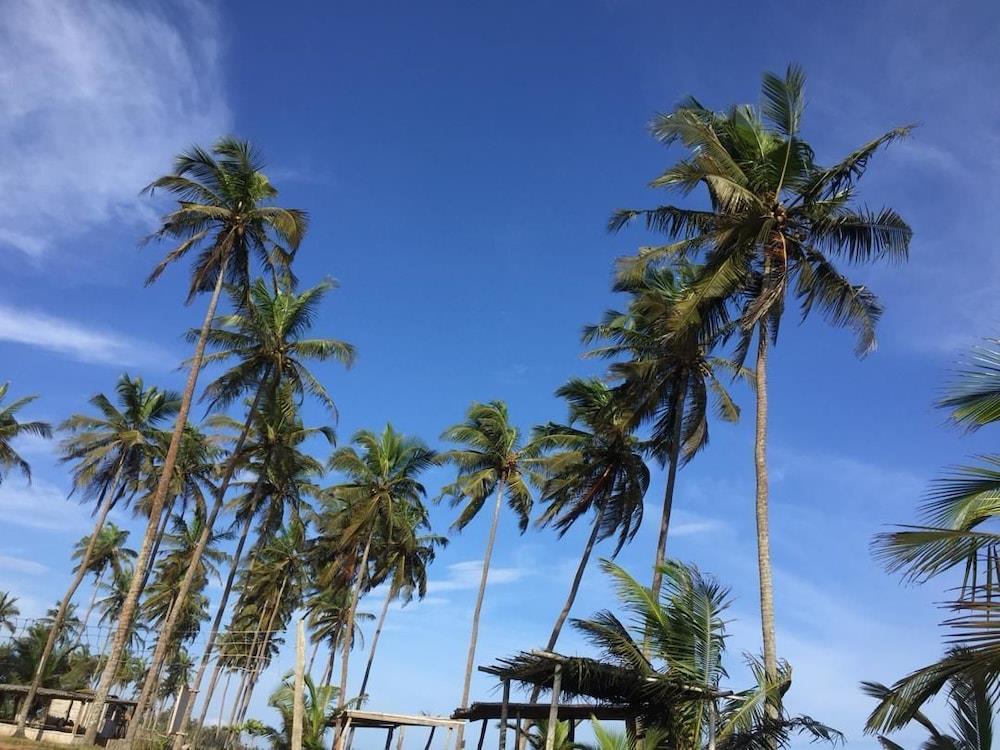 Stumble Inn Eco Lodge