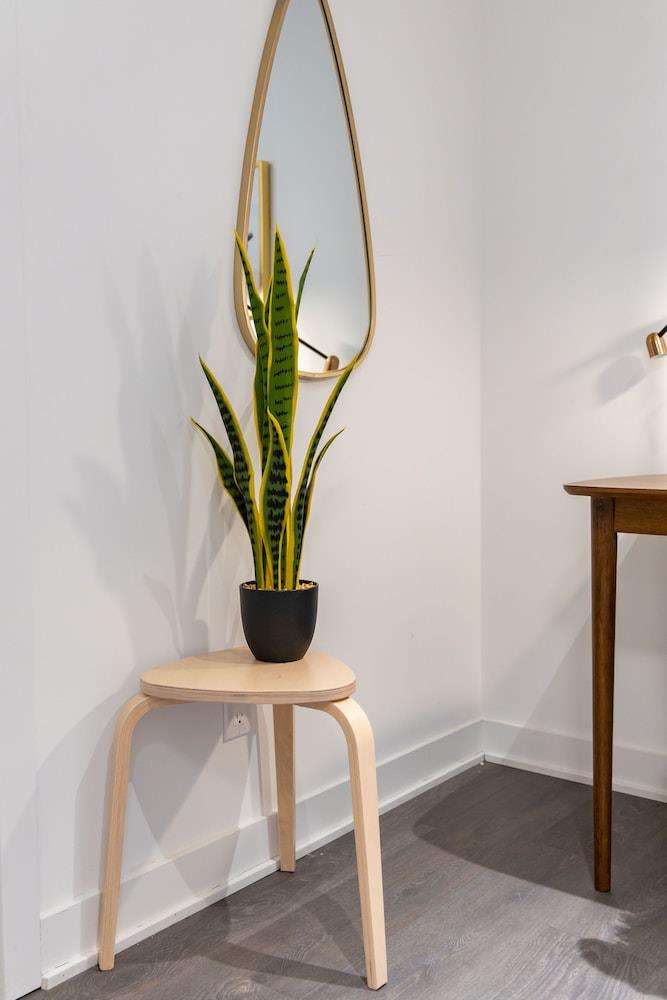 Sarkar Suites - Cumberland Street