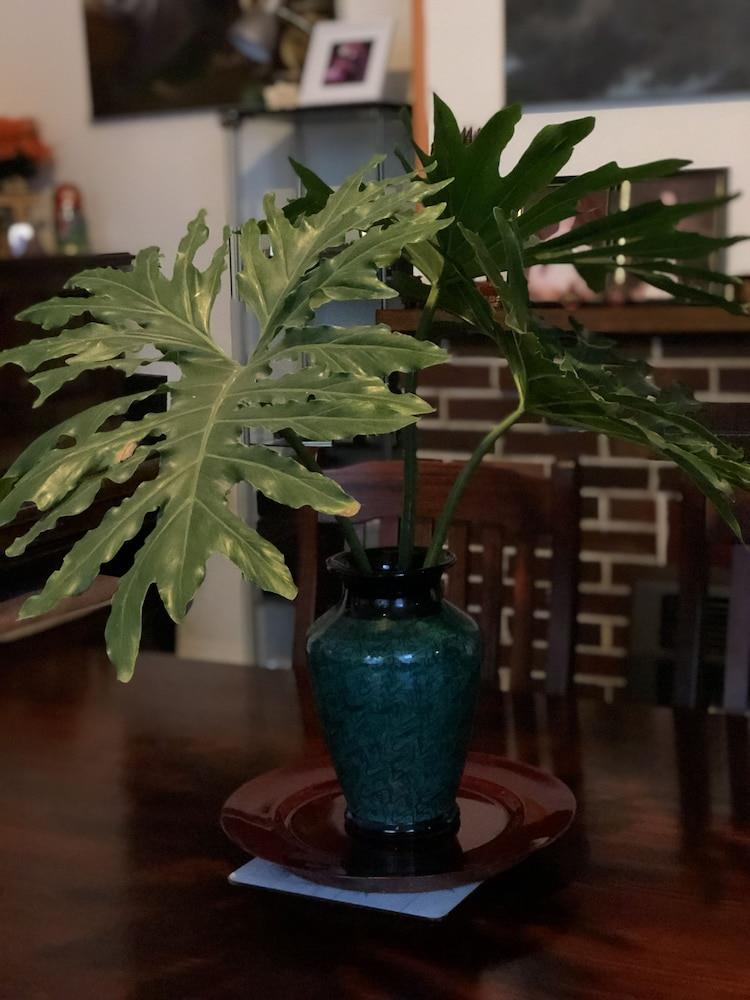 Albany Foreshore Guest House