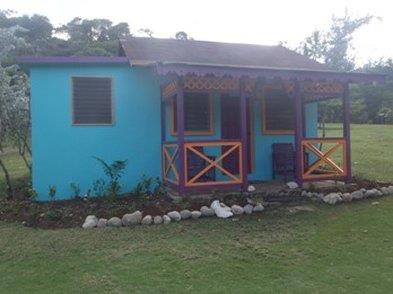 Strawberry Fields Together