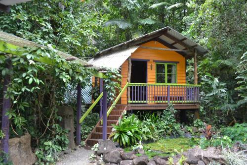 Rainforest Hideaway