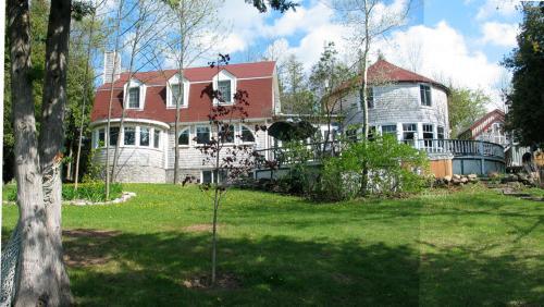 Windswept On The Trent