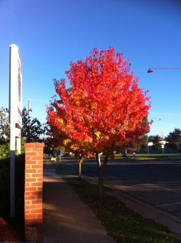 Mansfield Traveller's Lodge