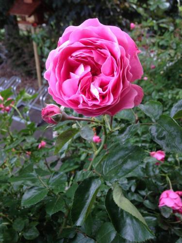 Panoramahotel Steirerland