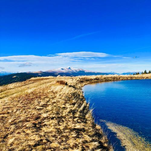 Almhutten Moselebauer